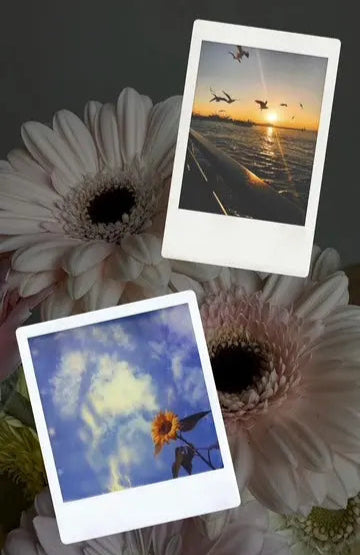 Polaroid photo uniqueflowersandroses