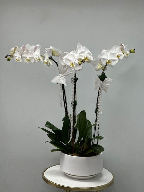 Orchid arrangements (3 stamps)