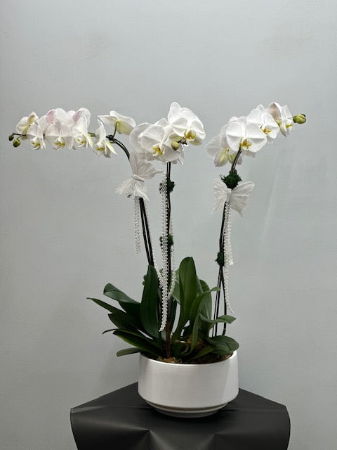 Orchid arrangements (3 stamps)