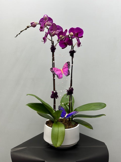 Orchid arrangements (2 stamps)